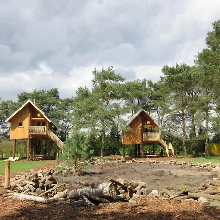 Modern Near De Veluwe National Park Chalet