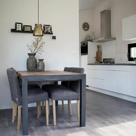 Chalet Modern Near De Veluwe National Park *